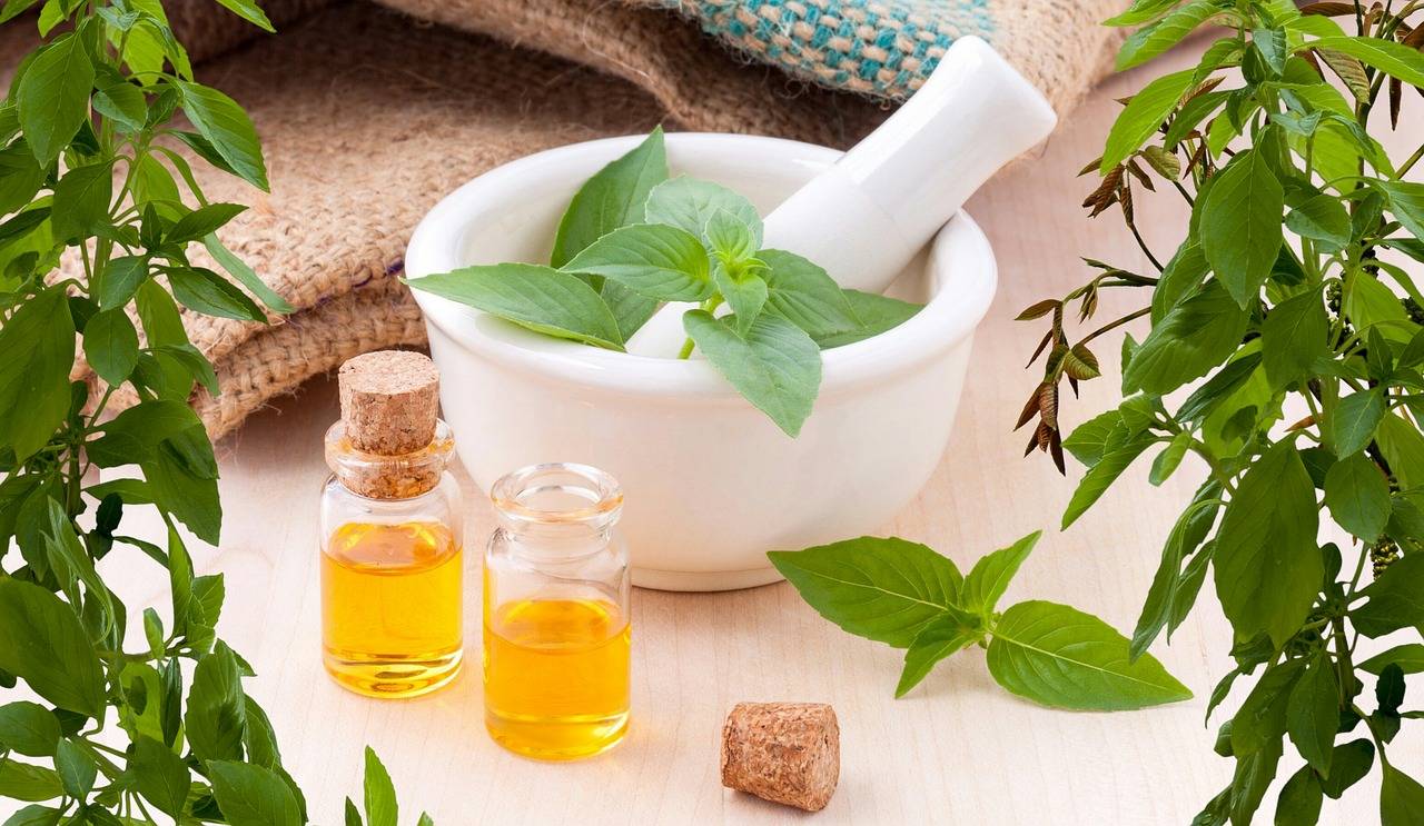 Santé : zoom sur le CBD et ses nombreuses propriétés méconnues
