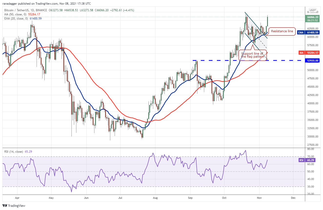 BTC, ETH, BNB, SOL, ADA, XRP, DOT, DOGE, SHIB, AVAX